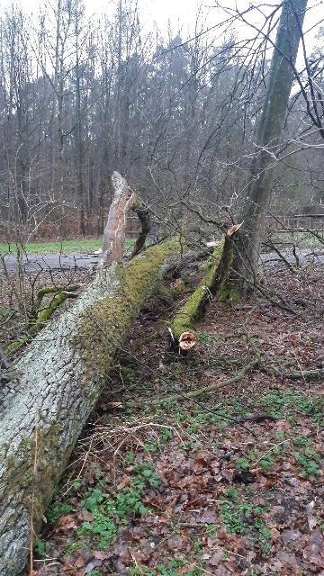 20230203_162937_resized groß.jpg